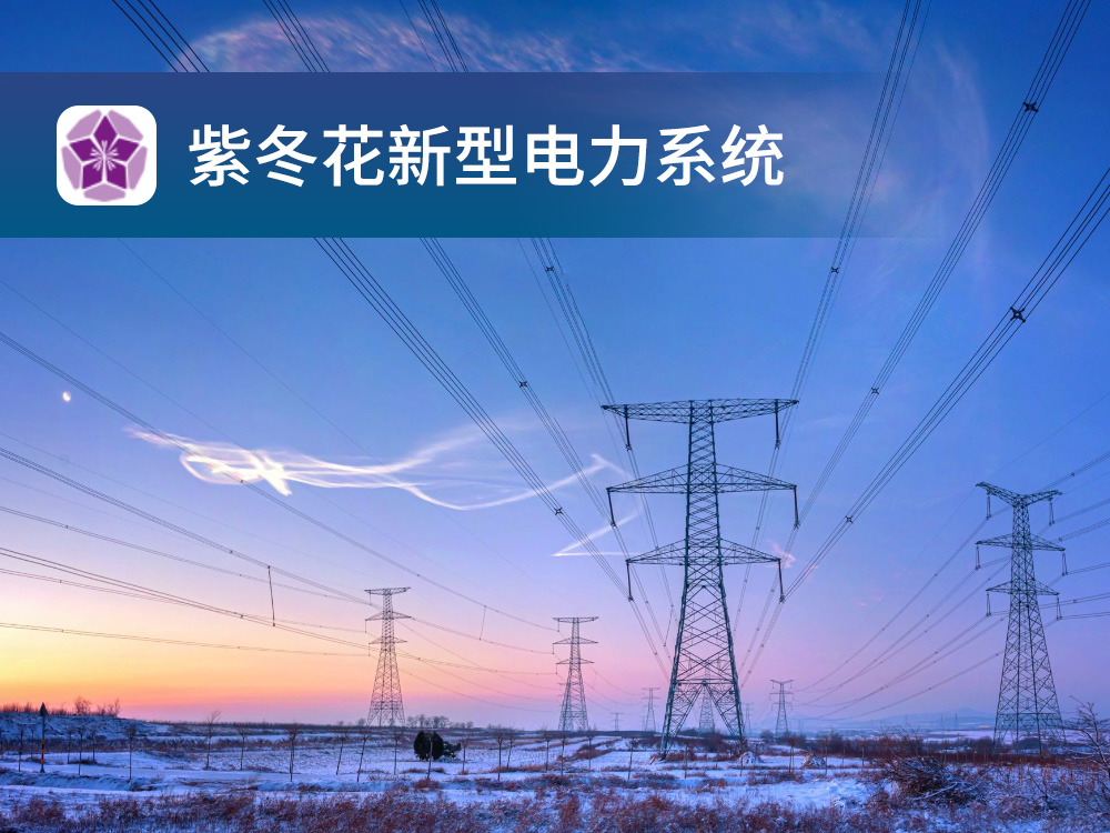 紫冬花新型电力系统管理中台